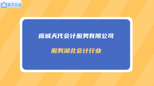 应城天代会计服务有限公司.jpg