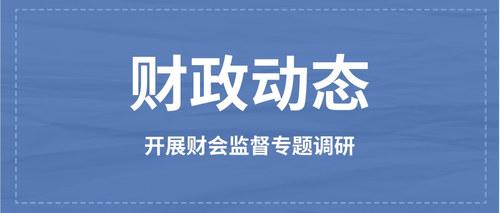 开展财会监督专题调研.jpg