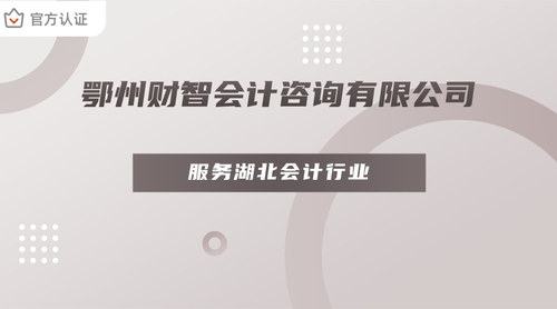 鄂州财智会计咨询有限公司.jpg