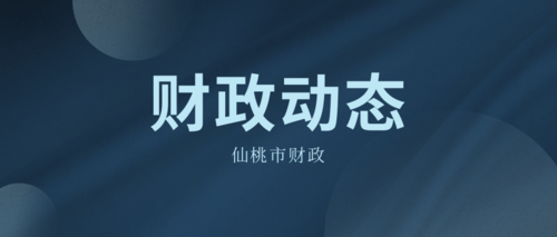 仙桃市财政 (1).png