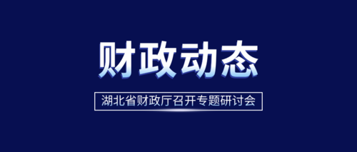 湖北省财政厅召开专题研讨会.png